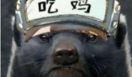 和平精英新皮肤蜜獾最新爆料,神秘野性，狂野来袭！